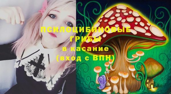 кокс Арсеньев