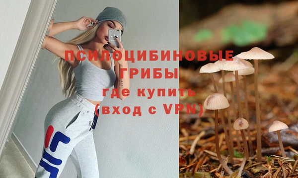 кокс Арсеньев