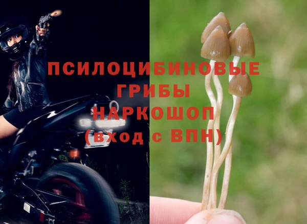 кокс Арсеньев